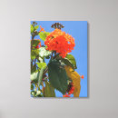 Buscar geiger Tropical