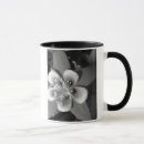 Buscar columbine tazas Naturaleza