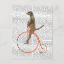 Buscar penny farthing postales Flores