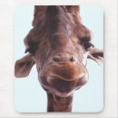Buscar giraffe alfombrillas de raton Retrato