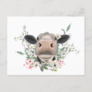 Buscar hocico postales Animal