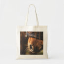 Buscar caballo bolsos Ecuestre