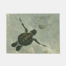 Buscar tortuga de mar Costa