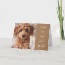 Buscar perrito triste postales Fotografía