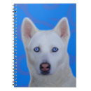 Buscar husky libretas Lindo