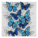 Buscar realista posters Mariposas