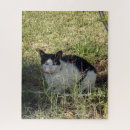 Buscar gato blanco y negro puzzles 9 º gata