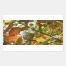 Buscar fotografía rectangulares pegatinas Naturaleza
