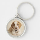 Buscar perrito llaveros Primer
