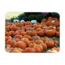 Buscar 1 de noviembre tarjetas Calabaza