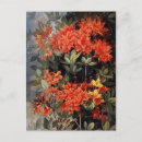 Buscar artista botánico postales Flores