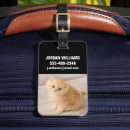 Buscar gatito etiquetas para maletas Gato purebred