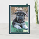 Buscar alem tarjetas Cachorro