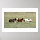 Buscar caballo vaquero posters General y unisex