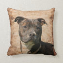 Buscar perro de pitbull cojines Terrier