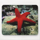 Buscar estrella mar de alfombrillas de raton Arena