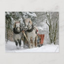 Buscar caballo y trineo postales Para todos