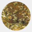 Buscar diferencial pegatinas Primer plano