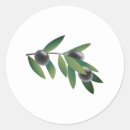 Buscar aceite de oliva pegatinas Vegetación