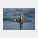 Buscar pato felpudos Aves acuáticas