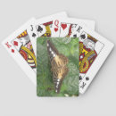 Buscar butterfly barajas de cartas Insects