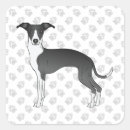 Buscar galgo pegatinas Iggy
