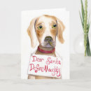 Buscar perro del meme tarjetas Divertido