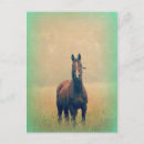 Buscar del caballo postales Equino