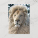 Buscar león blanco tarjetas de visita Leones