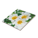 Buscar leyenda azulejos Para todos