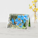 Buscar apertura tarjetas Flor
