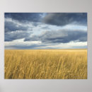 Buscar nube de tormenta Campo