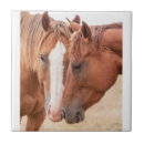 Buscar ecuestres azulejos 6 º caballito