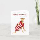 Buscar galgos tarjetas Lindo