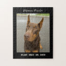 Buscar pinscher Doberman pinscher