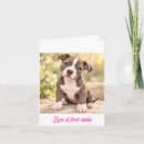 Buscar pitbull tarjetas Cachorro