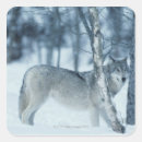 Buscar canis pegatinas Gris