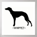 Buscar whippet arte Animales