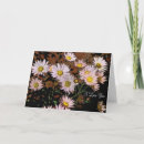 Buscar amor incondicional tarjetas Flores