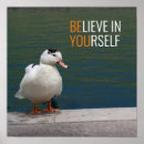 Buscar pato salvaje posters Mallard