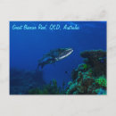 Buscar barracuda postales Océano