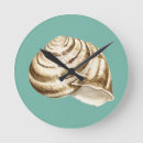 Buscar estrellas mar de relojes de pared Naturaleza