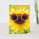 Buscar gafas de sol tarjetas General y unisex