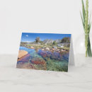 Buscar adams tarjetas Don paulson