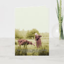 Buscar granjas lecheras tarjetas General y unisex