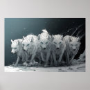 Buscar lobo blanco posters Vida silvestre