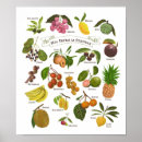 Buscar historia natural posters Flora