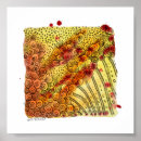 Buscar dibujos abstractos posters Acuarela