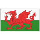 Buscar bandera dragón galés menaje cocina Cimru
