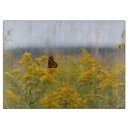 Buscar macro tablas cortar Mariposa